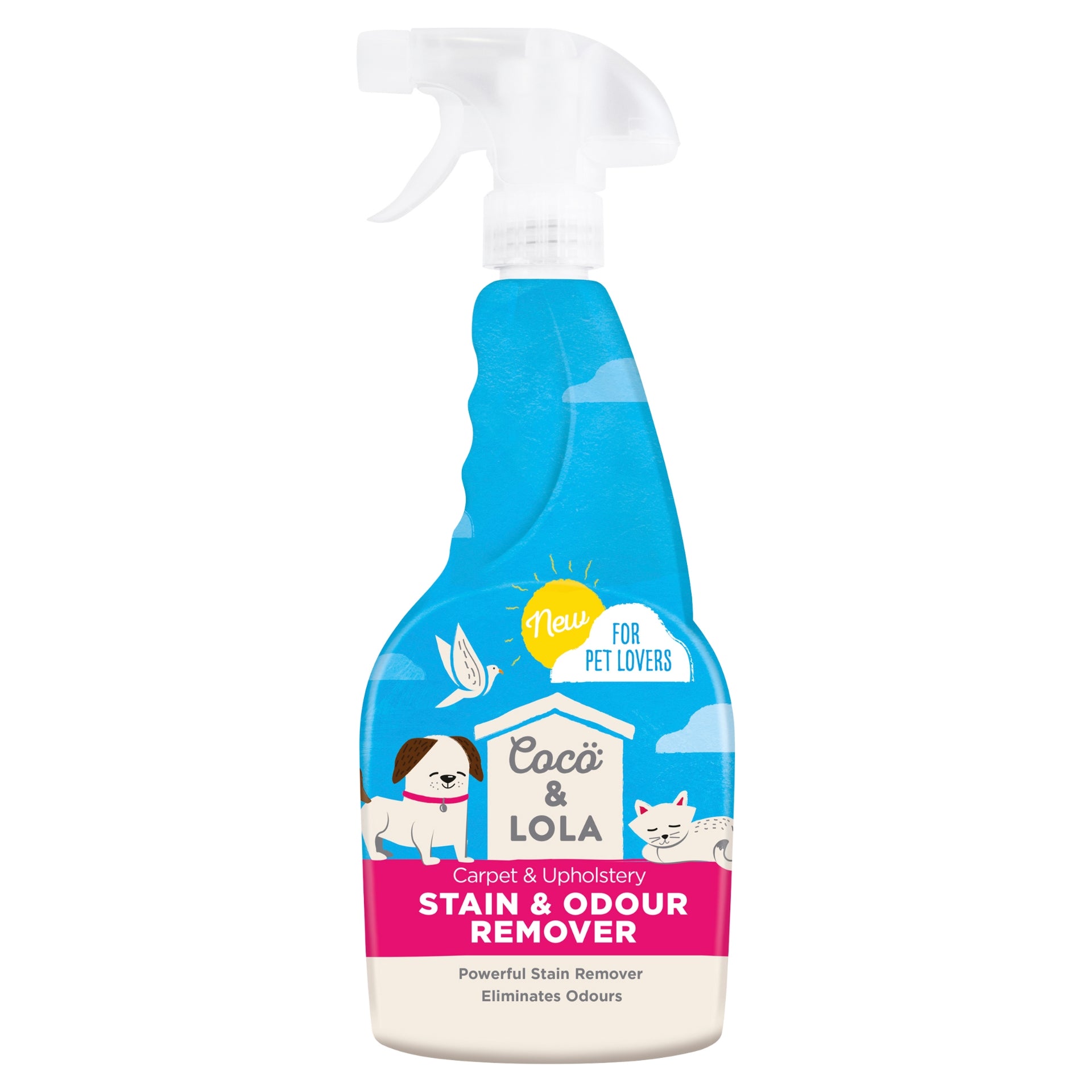 Pet stain and top odour remover